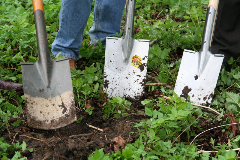 pepiniere-GRIMAUD-min_work-lawn-flower-tool-green-backyard-1103633-pxhere.com